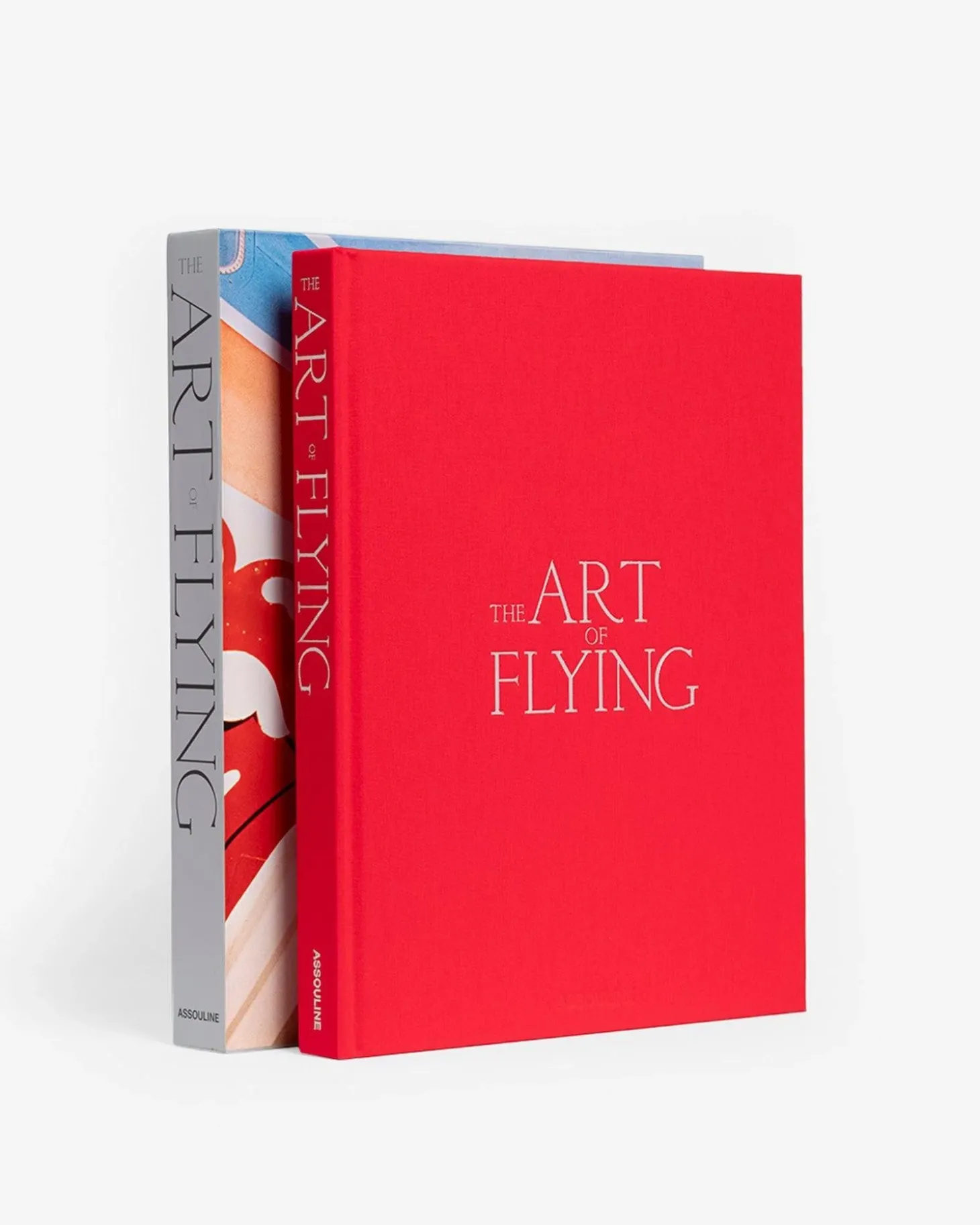 De Kunst Van Het Vliegen