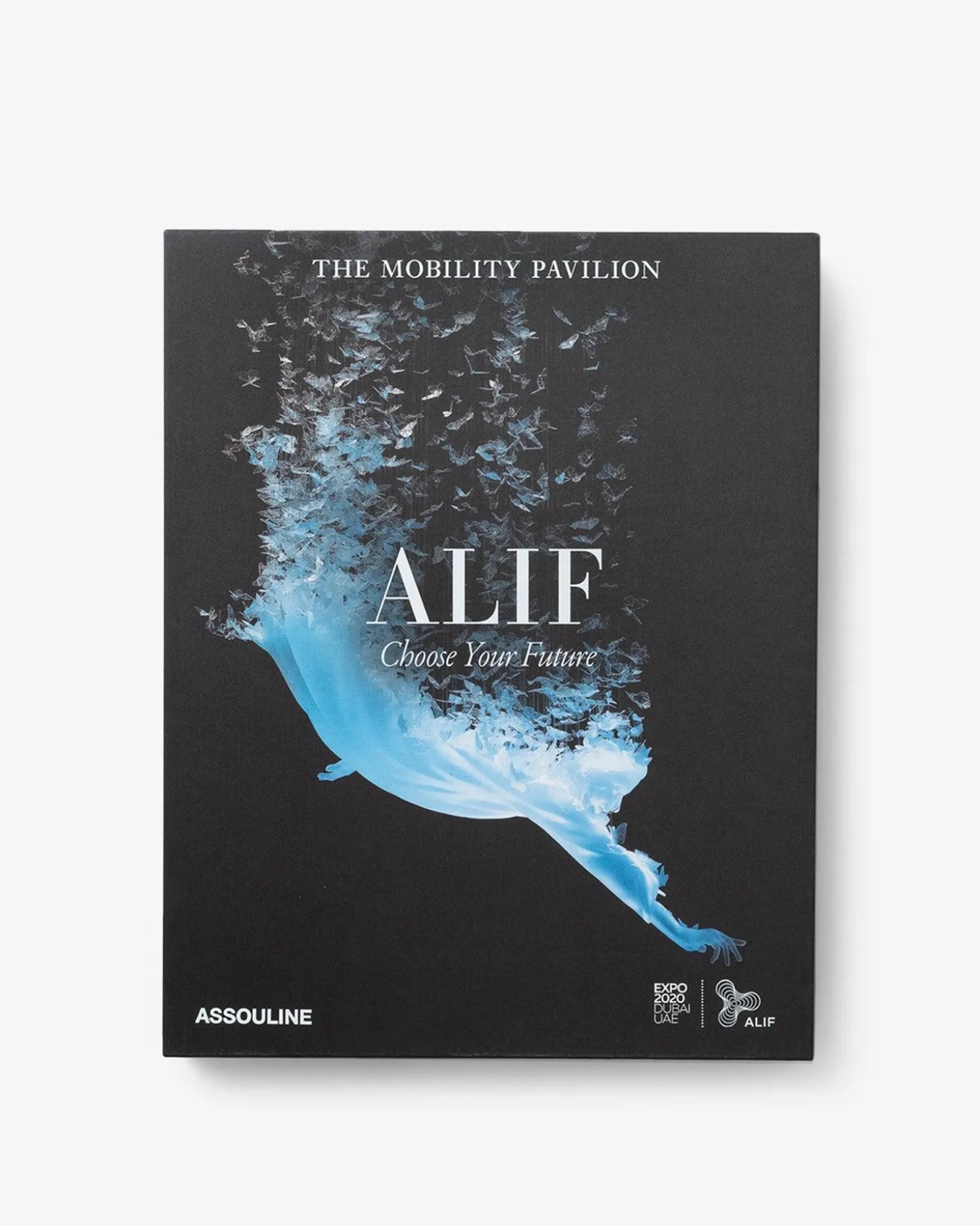 Expo 2020 Dubai: Alif-The Mobility Paviljoen