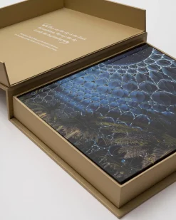Expo 2020 Dubai: De Definitieve Editie