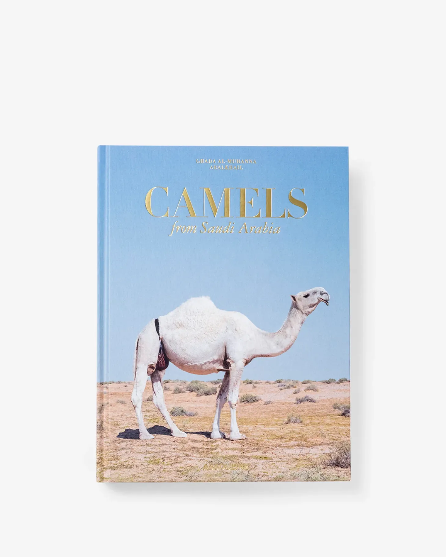 Kamelen Uit Saoedi-Arabie (Klassiek)