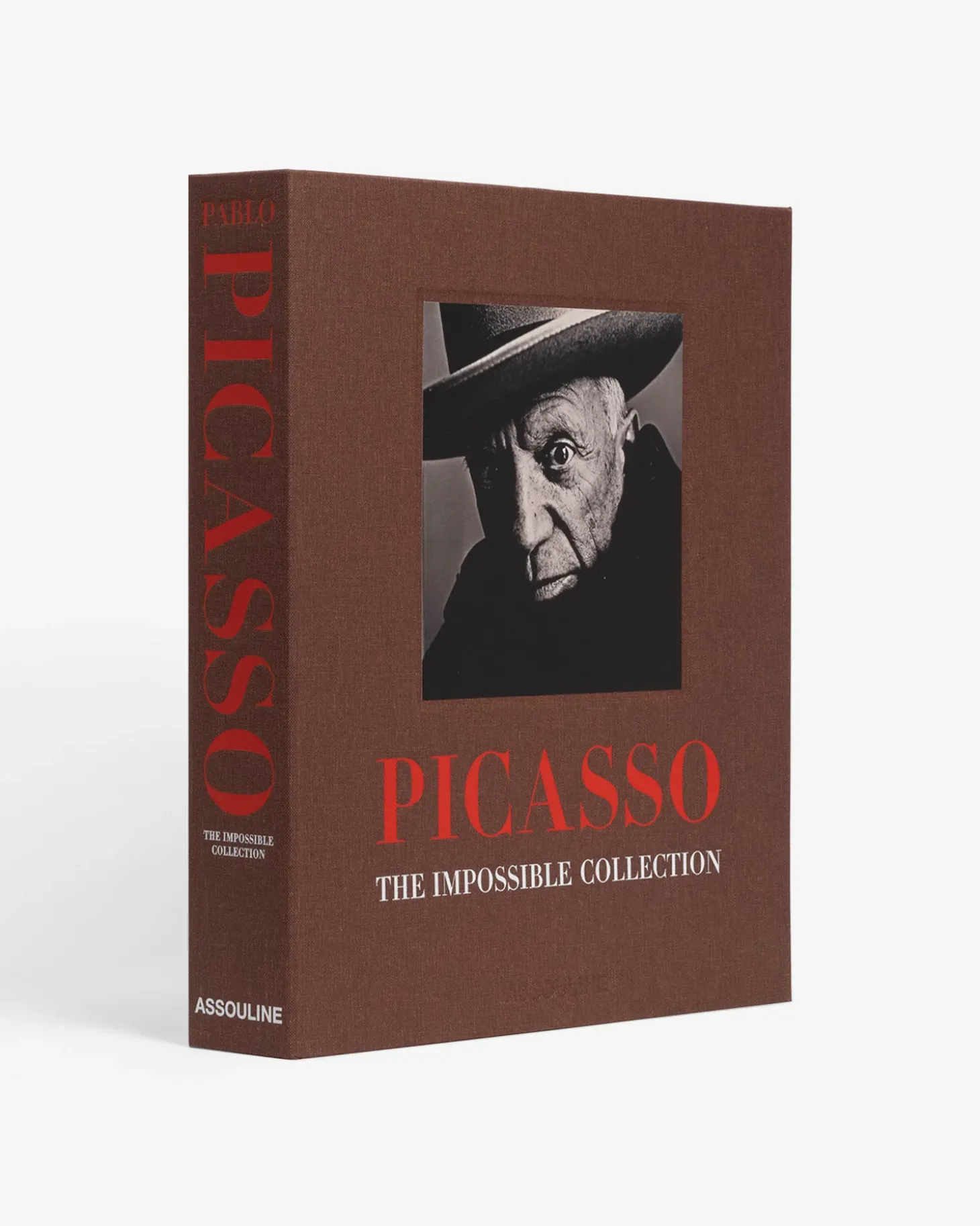 Pablo Picasso: De Onmogelijke Collectie