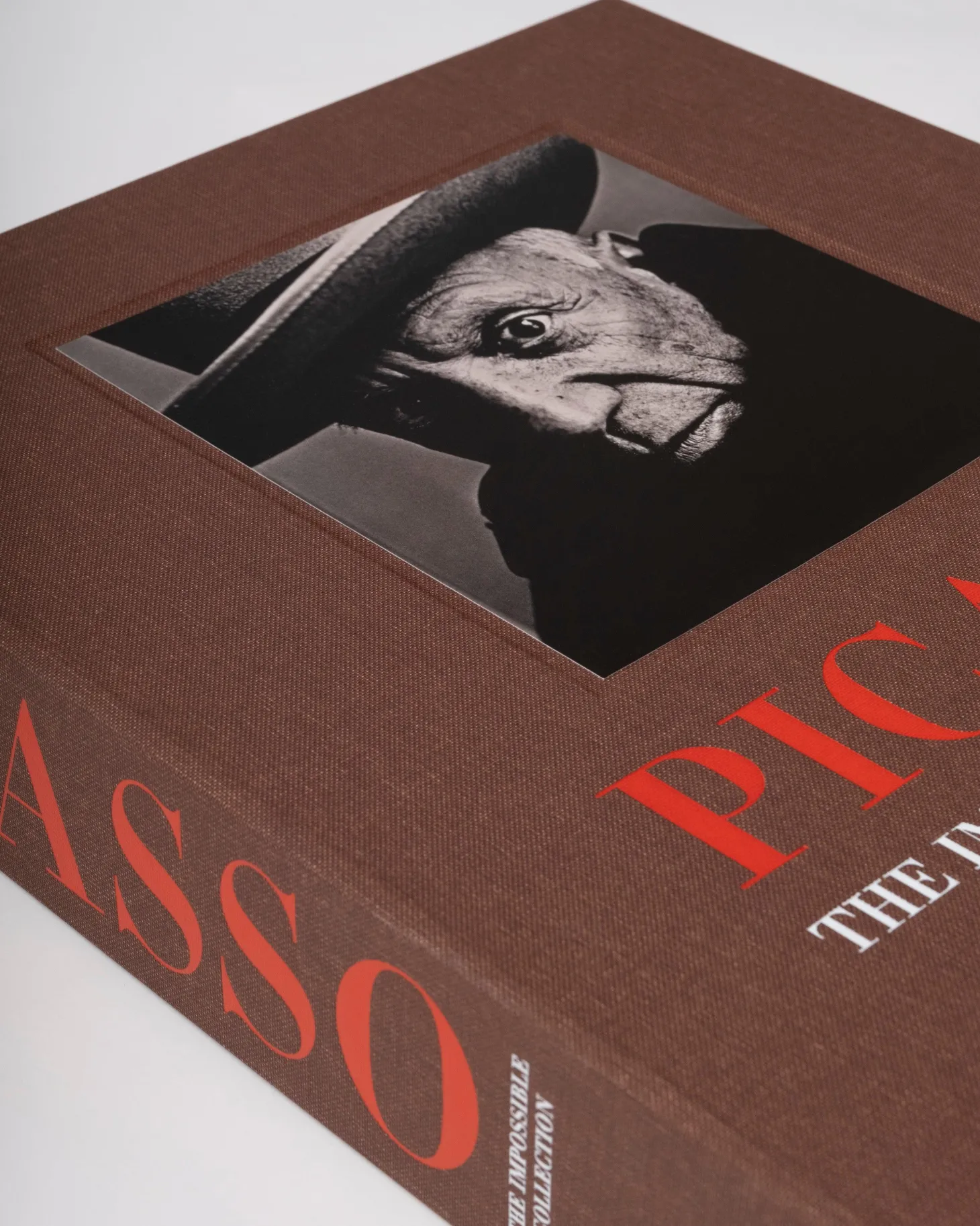 Pablo Picasso: De Onmogelijke Collectie
