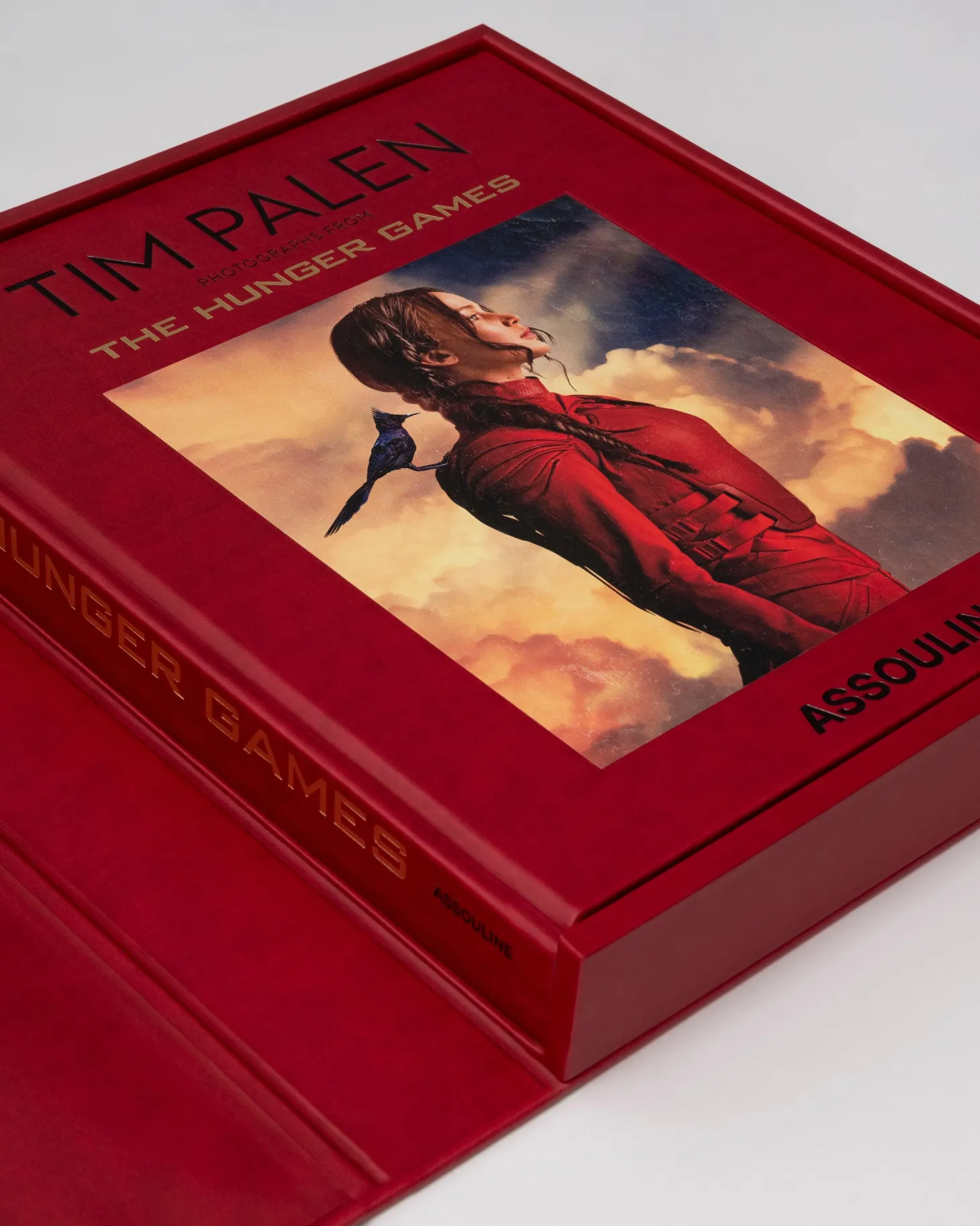 Tim Palen: Foto'S Van The Hunger Games (Ultieme Editie)