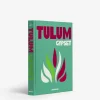 Tulum Gypset