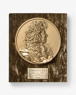 Versailles: Van Lodewijk Xiv Tot Jeff Koons (Speciale Editie)