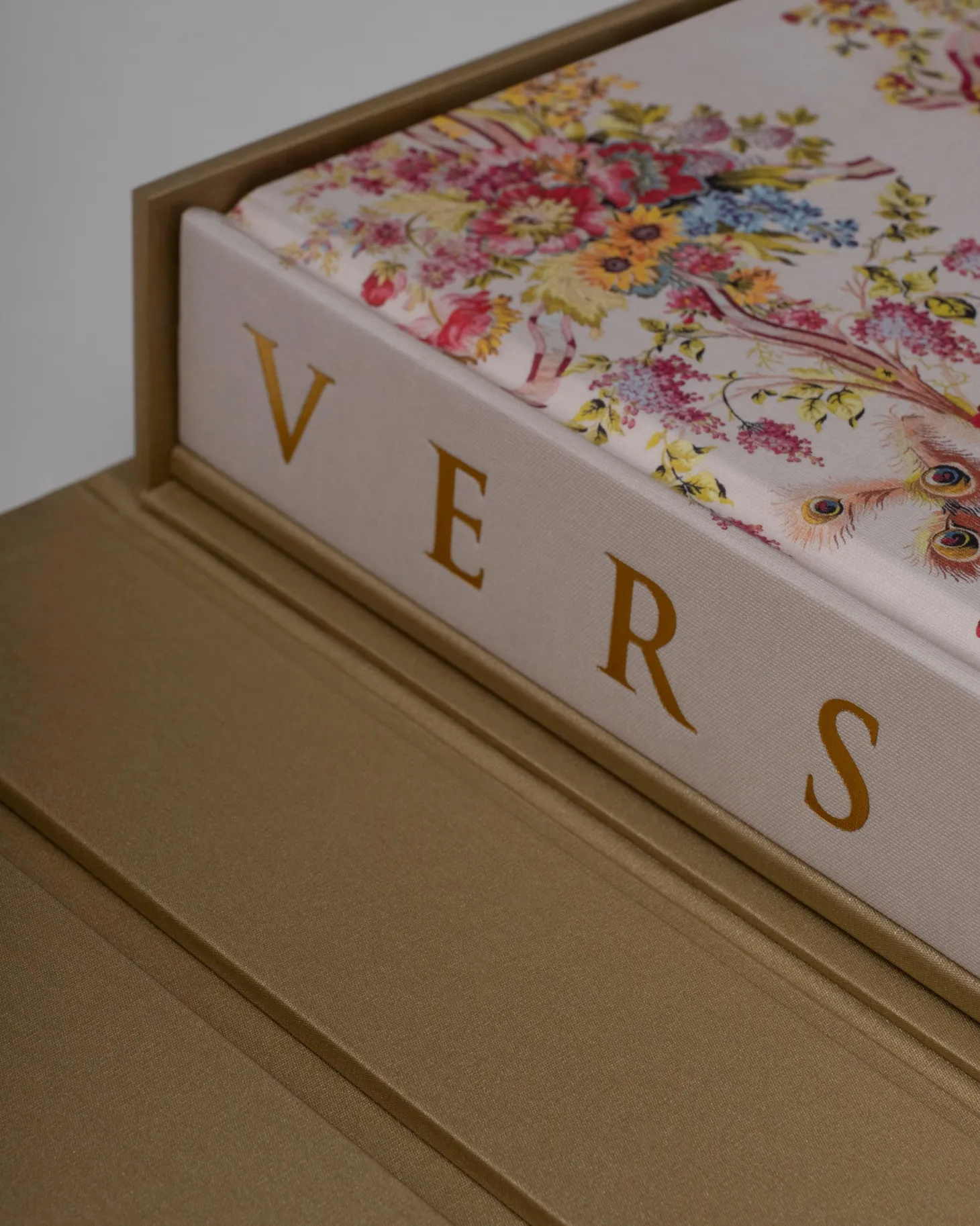 Versailles: Van Lodewijk Xiv Tot Jeff Koons (Speciale Editie)