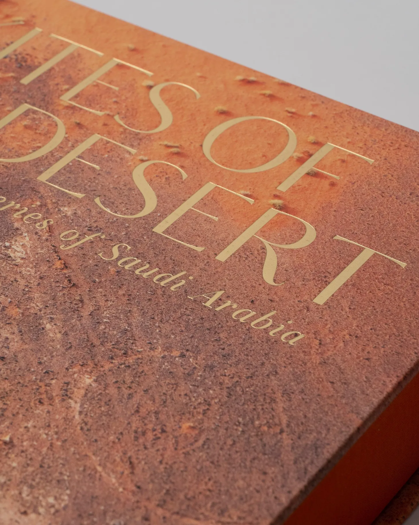 Vliegers Van De Woestijn: Archeologische Mysteries Van Saoedi-Arabie